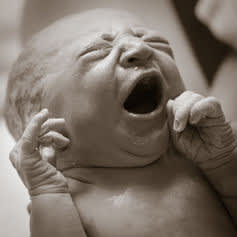Just the baby I ordered? Sander van der Wel, CC BY-SA