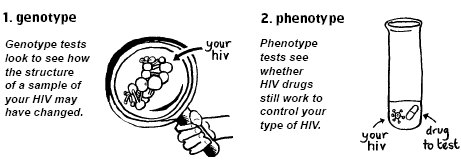 Figure 8: Types of Resistance Tests
