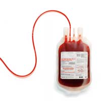HIV Community, Gay Men Criticize U.S. FDA's New 'Year of Celibacy' Requirement for MSM Blood Donors