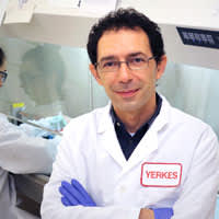 Dr. Mirko Paiardini