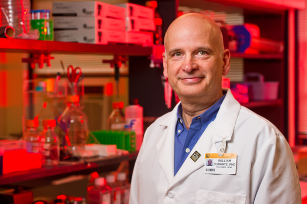 Lead study author William Durante, Ph.D. (Credit: University of Missouri Health System)