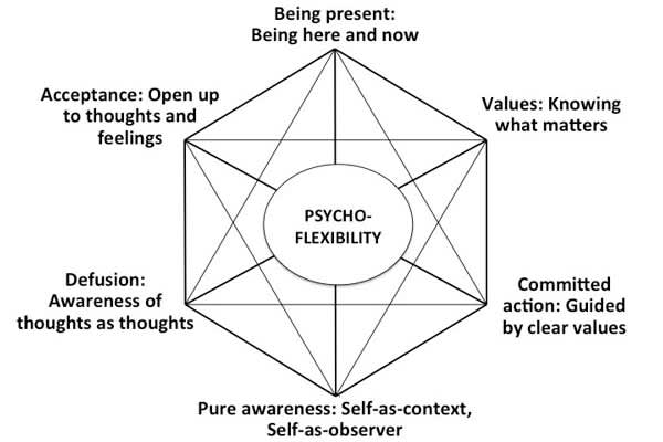 Figure 1: The Six Processes of Acceptance Commitment Therapy Training