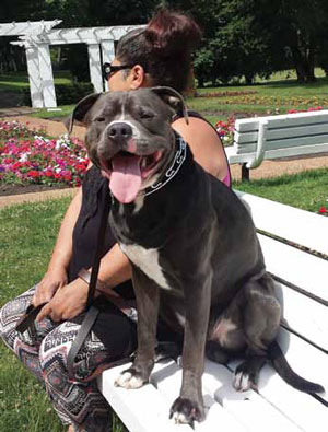 Sylvia with Hercules