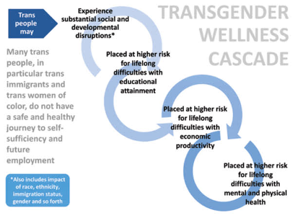Transgender Wellness Cascade