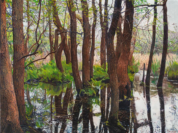George Towne, 'Meat Rack Swamp'
