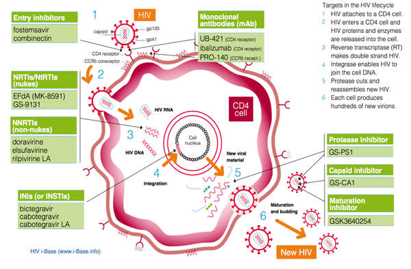 Figure 1: HIV Pipeline 2017: Targets in the HIV Lifecycle