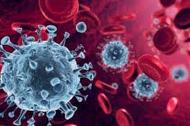 This is a photograph of the covid-19 virus. The photo appears to depict the virus inside of a human blood stream.