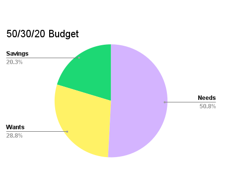 Screenshot of budget pie chart from Excel