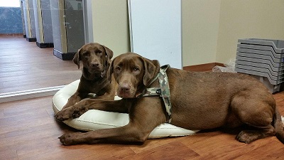 A few more of Biff and Nadine's Fur Babies!