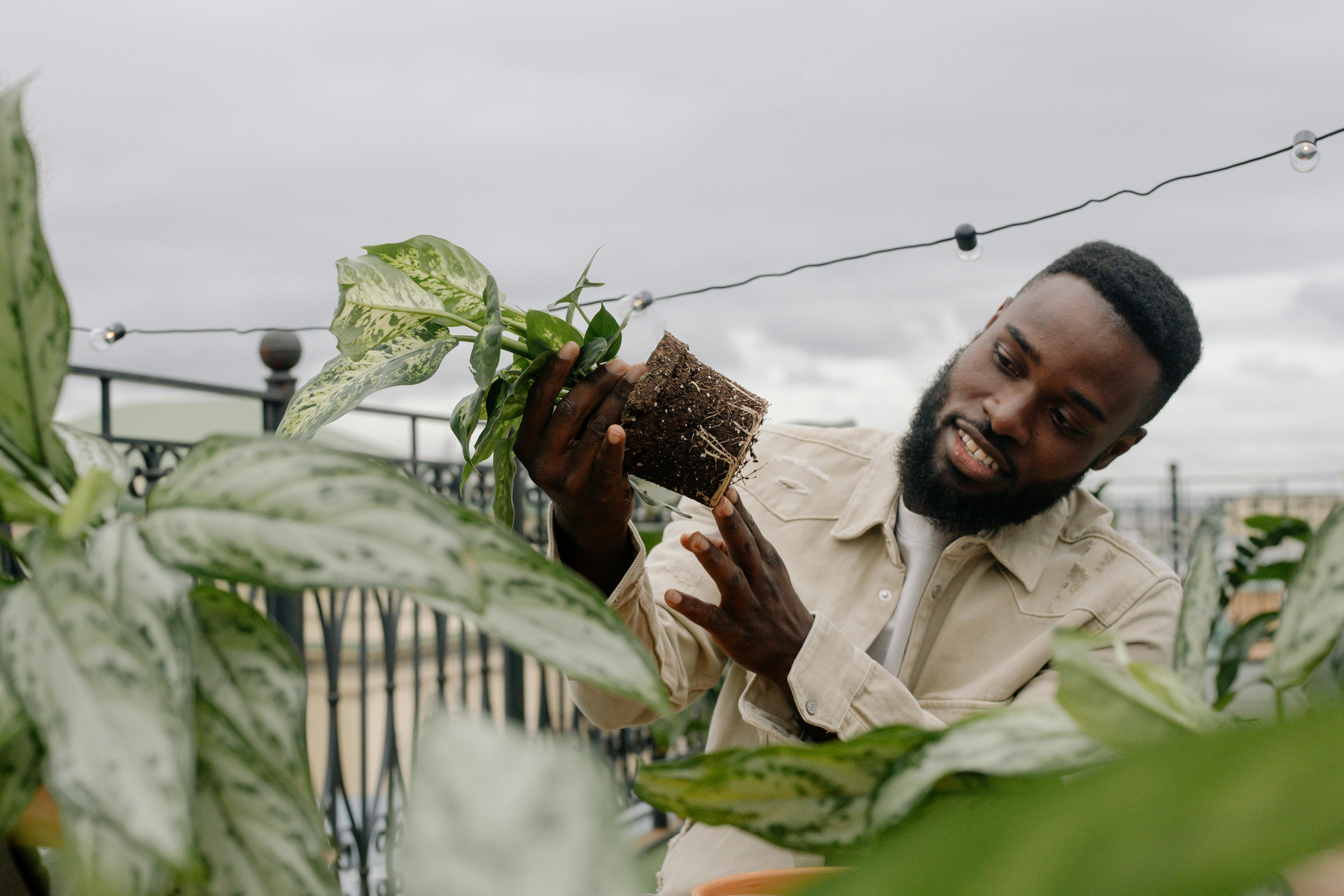 Man smiling and looking at potted plant roots standing outdoors, photo courtesy of CottonBro Studios- Pexels