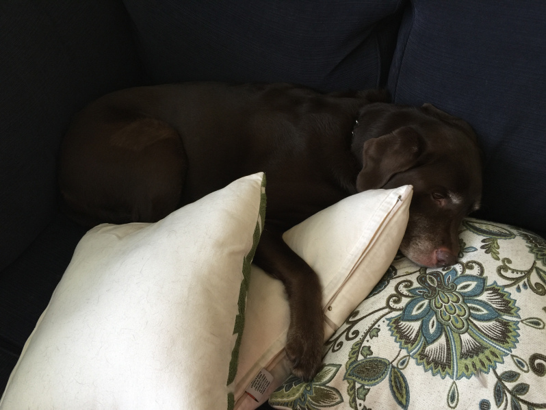 26947289-makenasleep.jpg