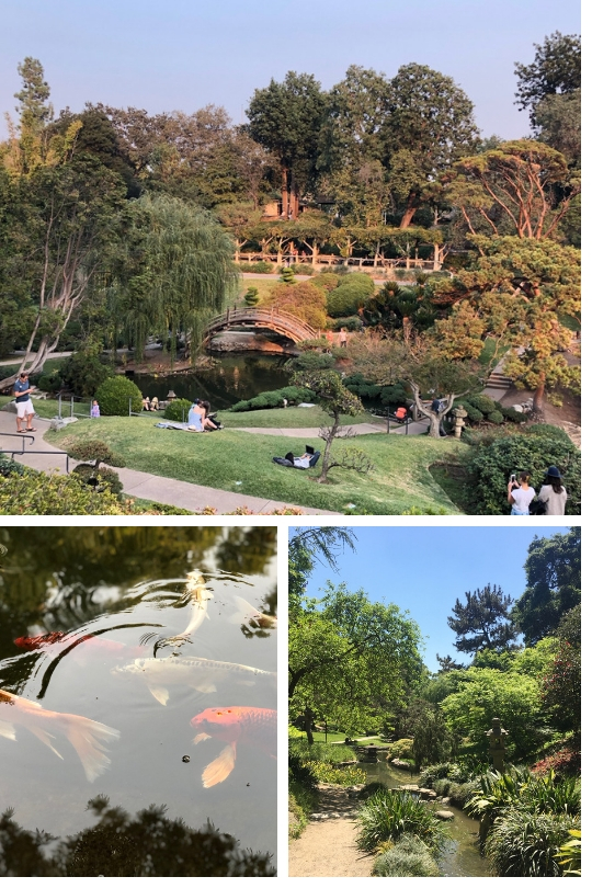 Huntington Library, Art Galerie, & Botanical Garden