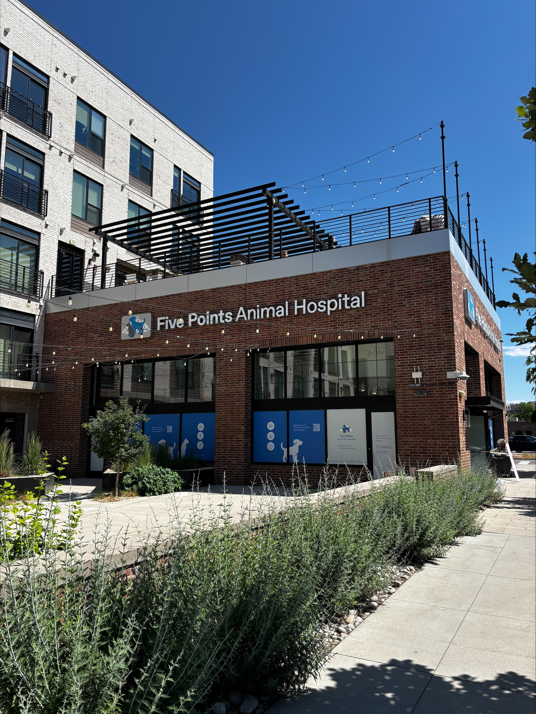 Five Points Animal Hospital
