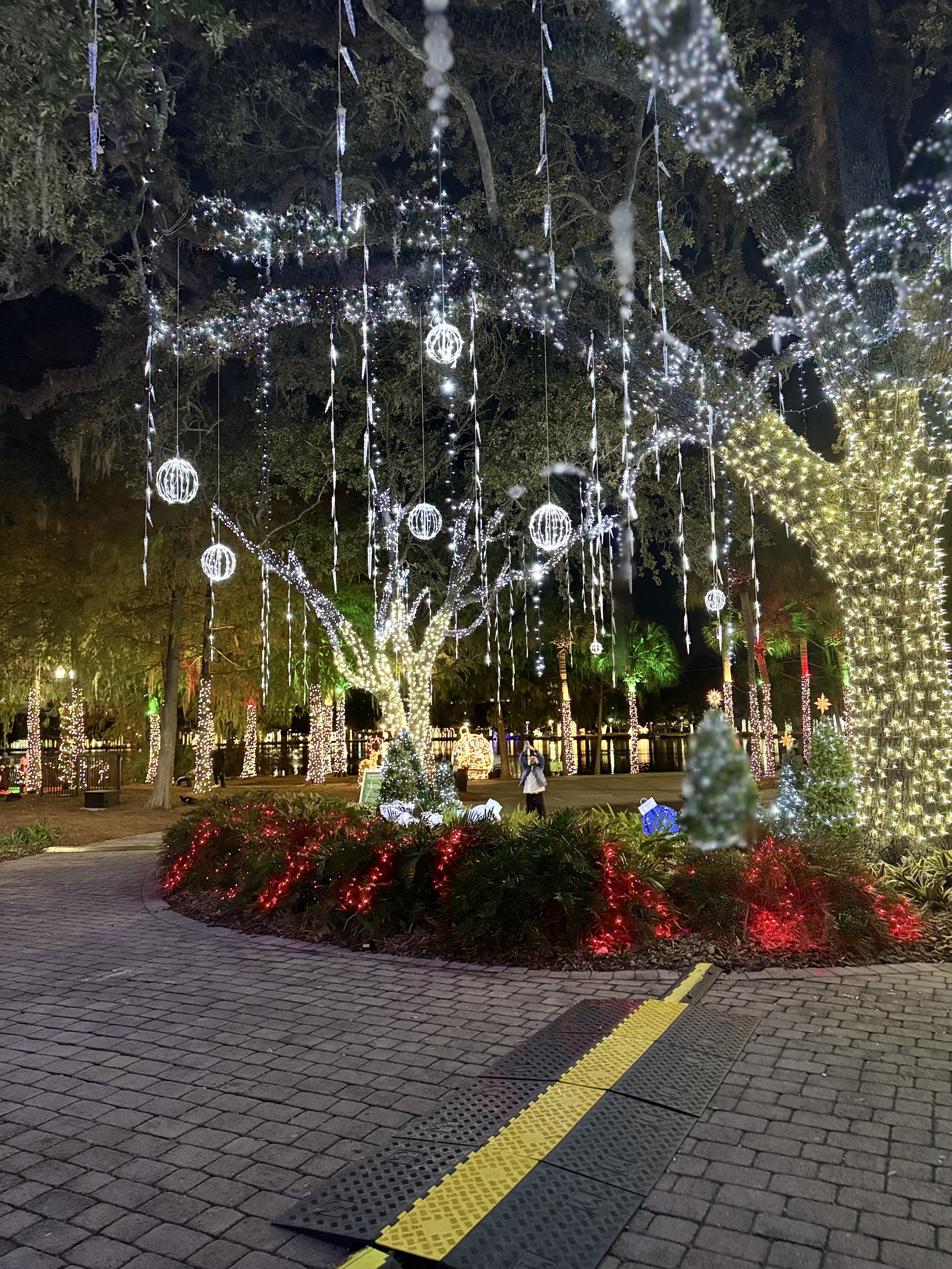 Photo from Chris Colon