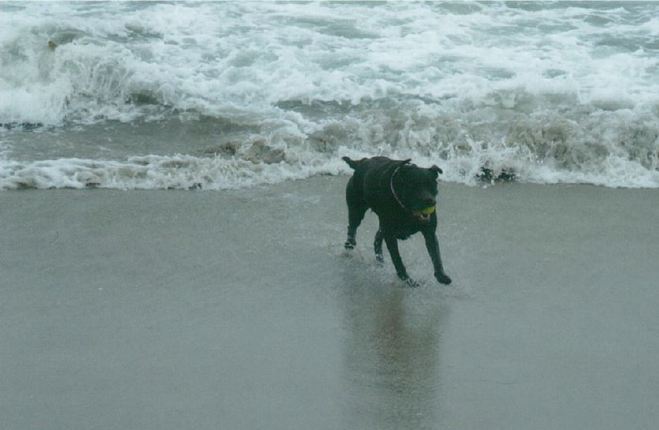 26947289-makenabeach.jpg