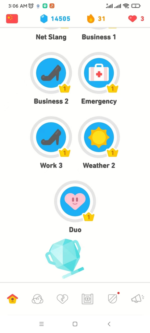 Duolingo Vocabulary categories