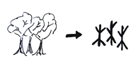 Chinese character for forest with wood radical