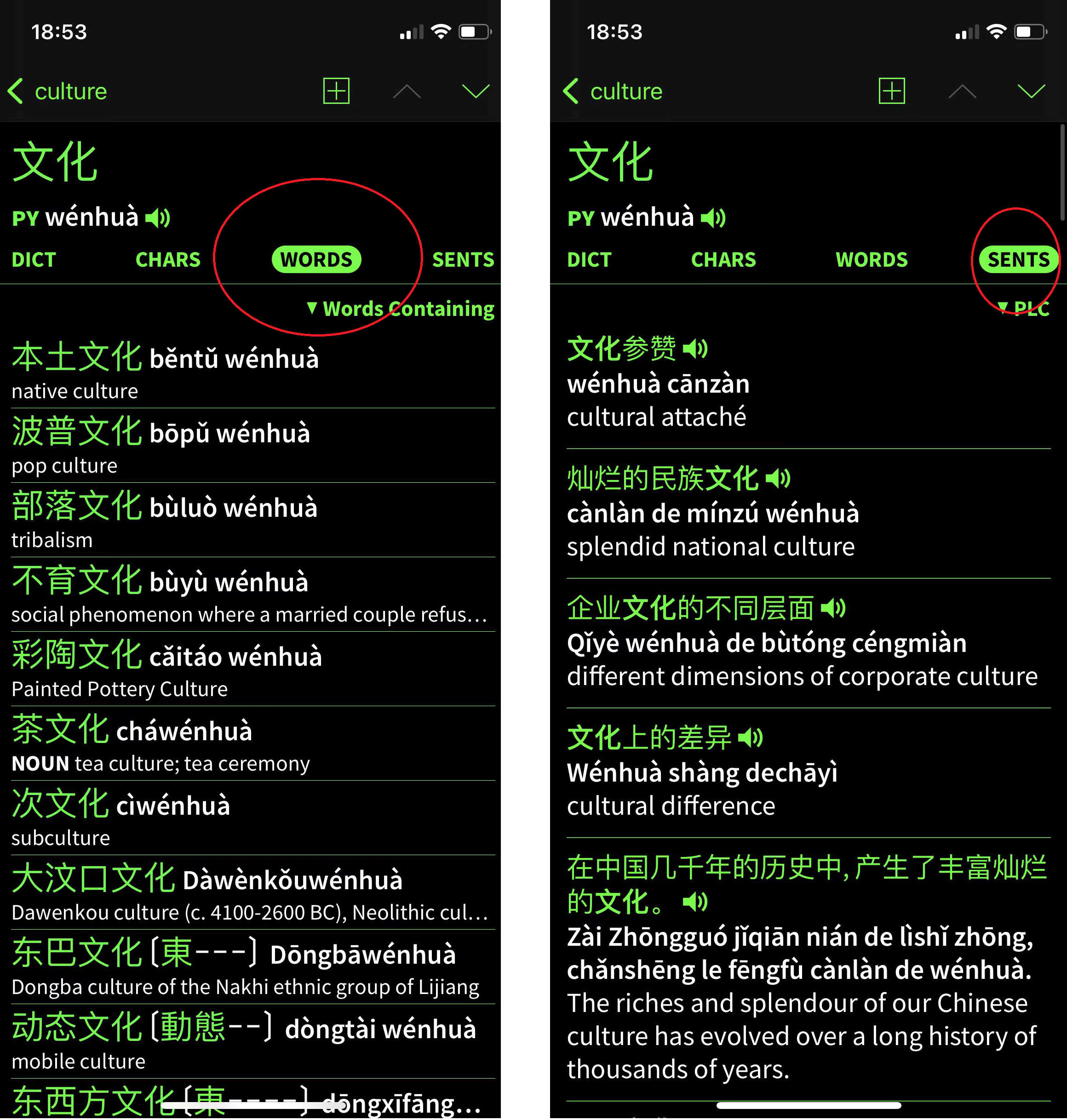 pleco chinese dictionary app 4