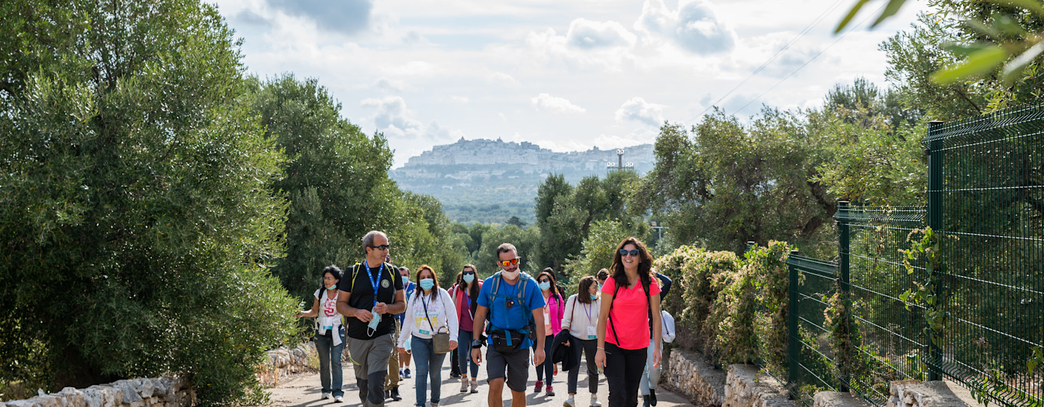 A guided tour among the olive trees of the Apulian countryside