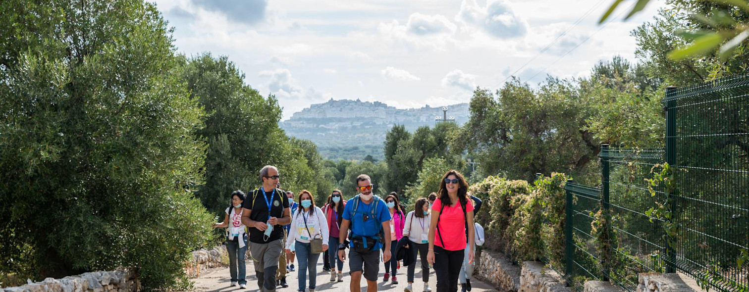 A guided tour among the olive trees of the Apulian countryside