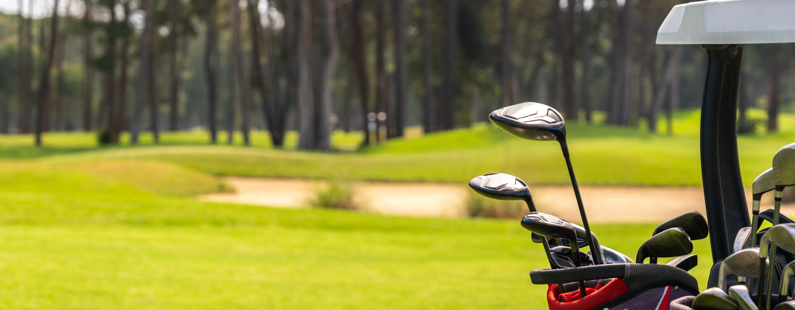 Close-up of golf clubs carried inside a golf car. In the background, a golf course.