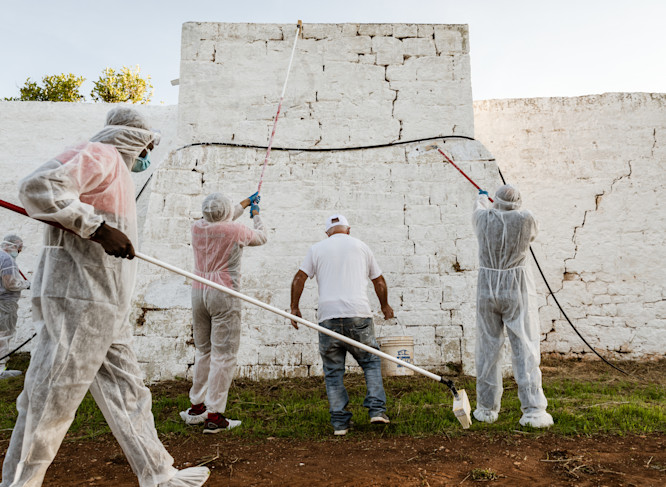 A group of volunteers cleans up a historic wall in the Apulian countryside