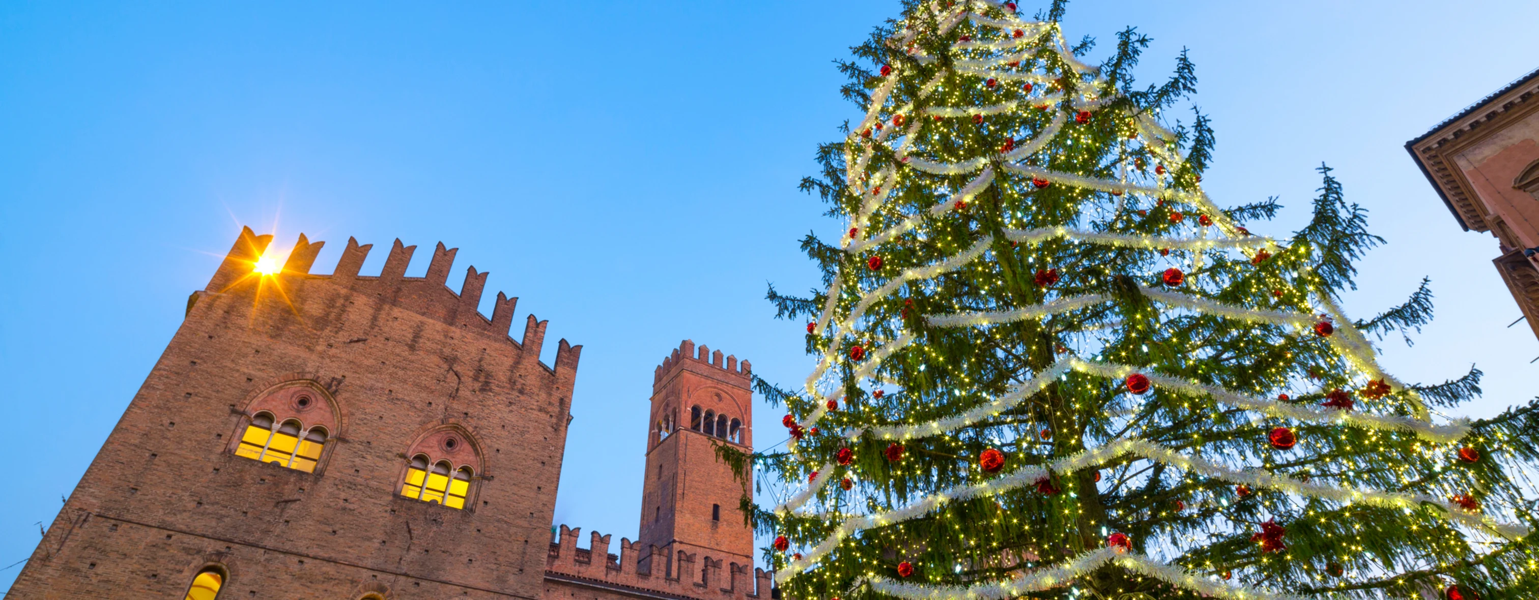 Christmas tree set up in Piazza Maggiore in Bologna