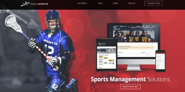 EngageSports is perfect for managing multiple teams or large sports operations.