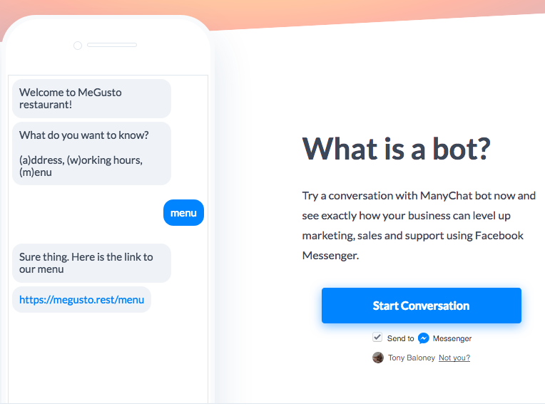 b2b lead generation chat bot