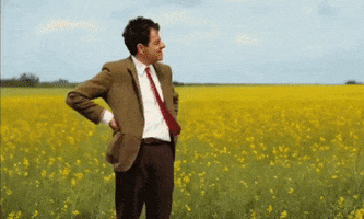 b2b lead nurturing mr beans