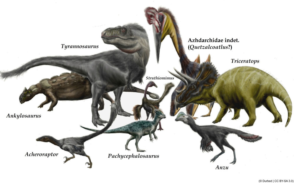 Dino's + Pterosauriër uit Hell Creek