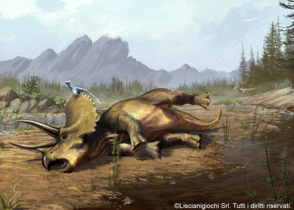 Dode Triceratops