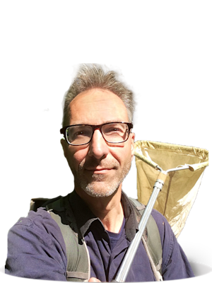 Menno Schilthuizen