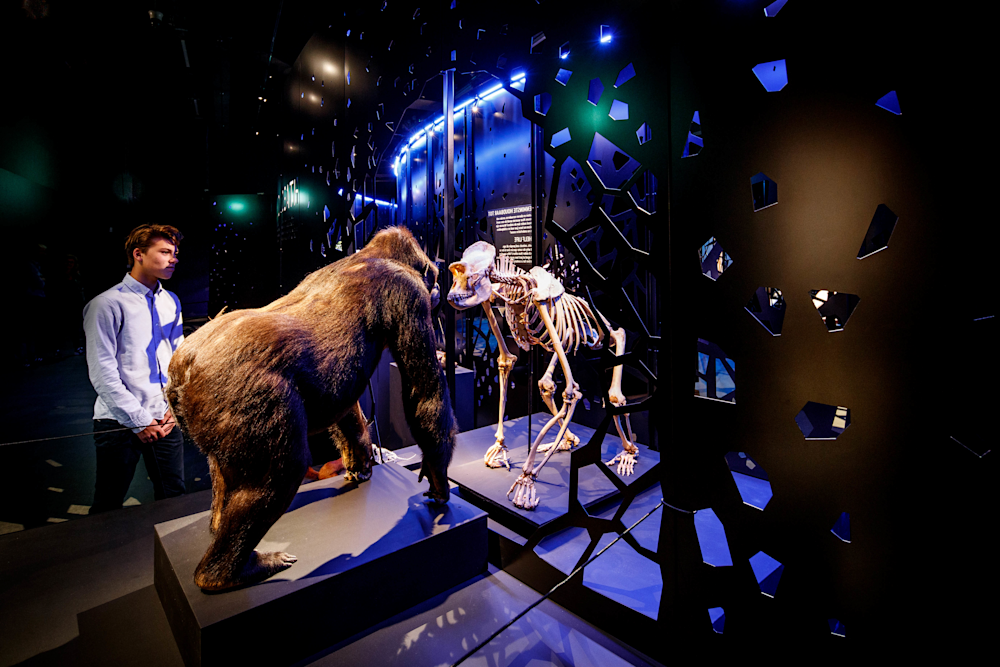 Gorilla in zaal de dood