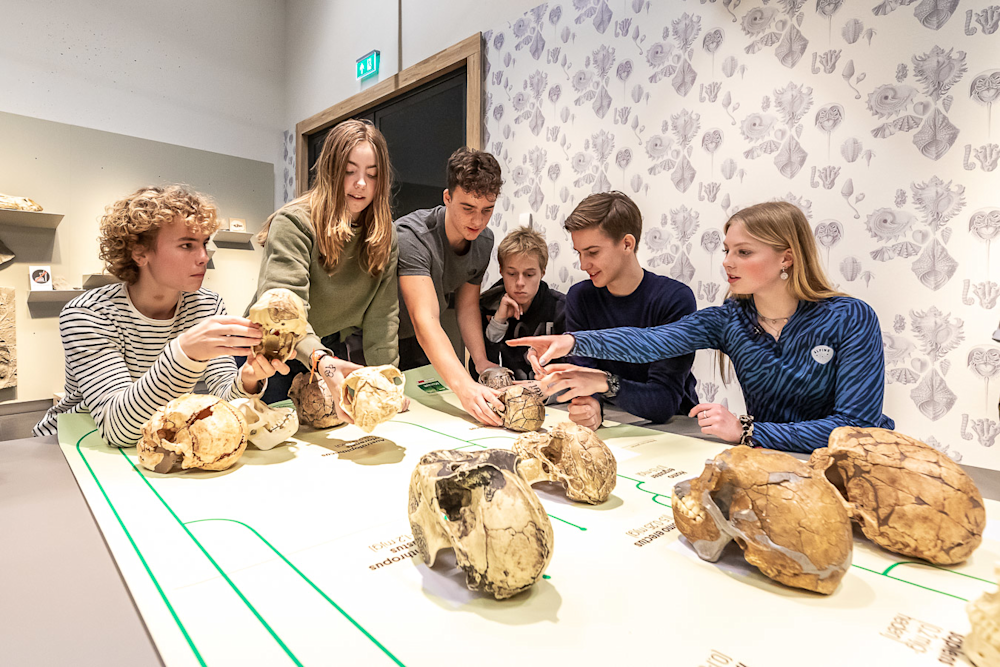 Leerlingen kijken naar kenmerken