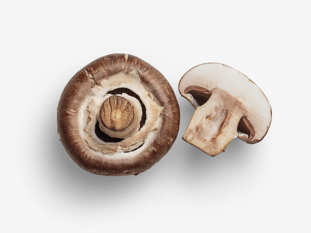 Champignon