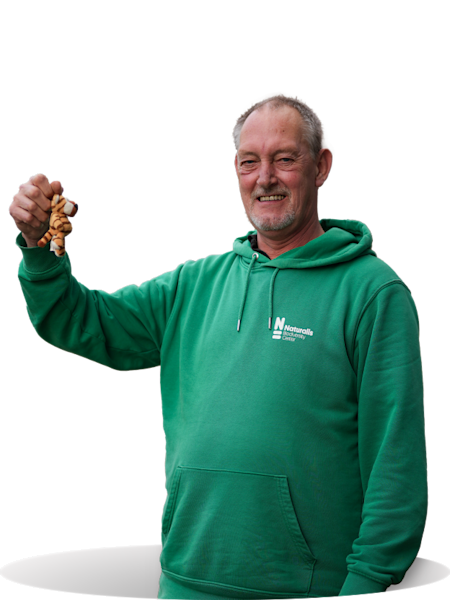 Dick Geskus - Logistiek expert