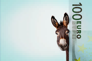 blogHeader-moneyMule