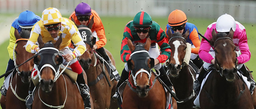 r-racing-horses09.jpg