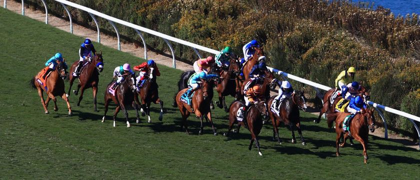r-racing-breeders-6-011119.jpg