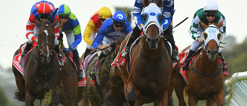 r-racing-horses-023.jpg