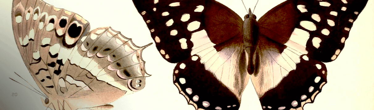 blog post image
