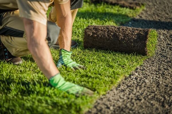 Planning Ahead For Landscaping