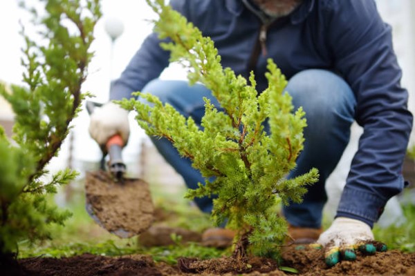 How Landscaping Companies Can Prepare For Winter