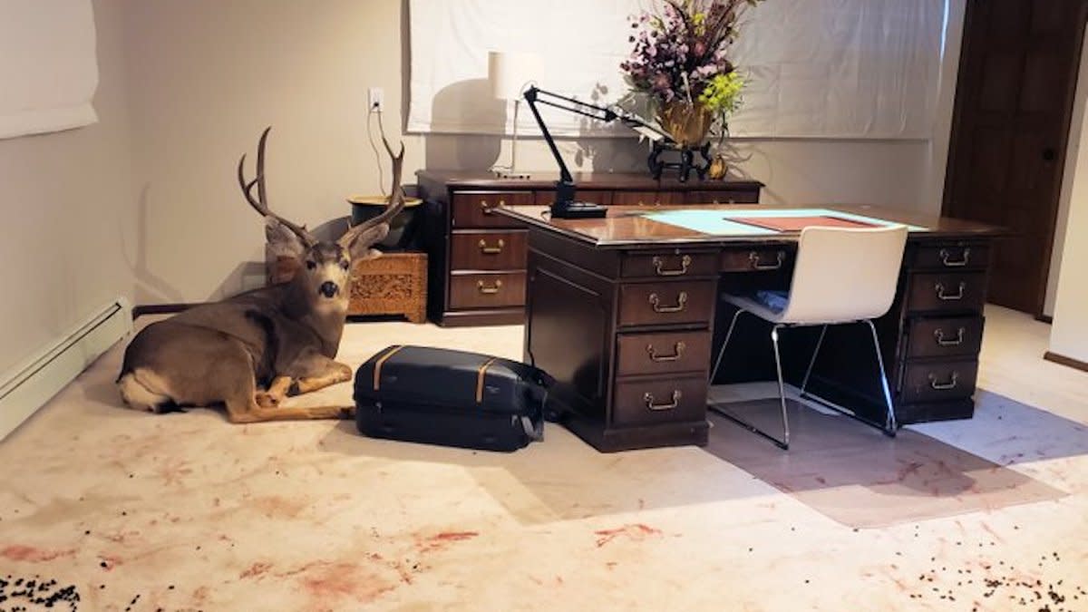 Photos: Buck Breaks into Basement