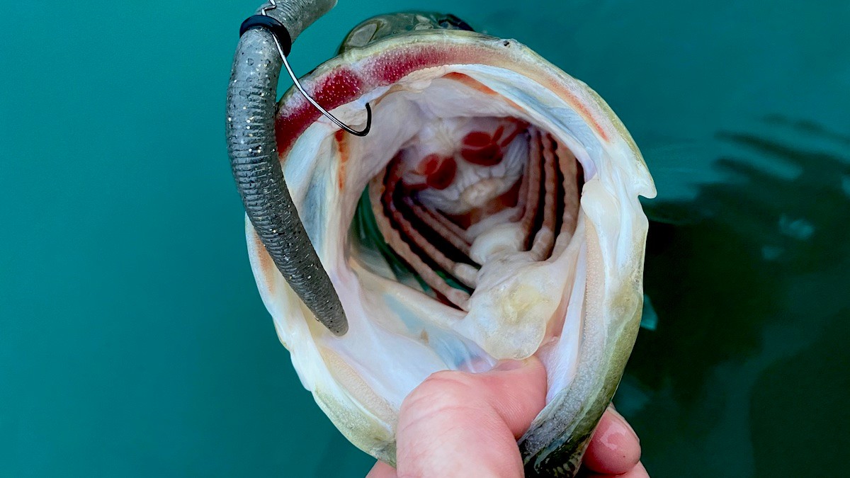 The Greatest Soft Plastic Lure of All Time