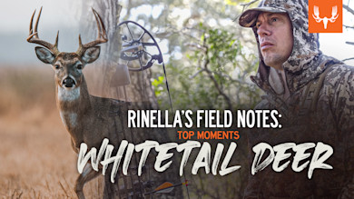 RINELLA'S FIELD NOTES: TOP MOMENTS WHITETAIL DEER — whitetail buck left and hunter in camouflage right