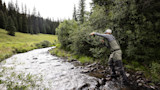 Angler casting a fly rod in a shallow stream, wearing waders and a baseball cap