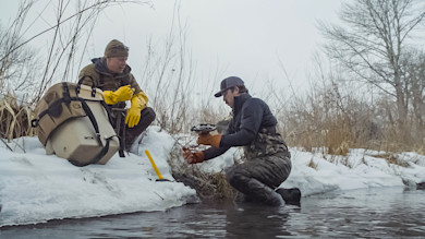 Two hunters checking a beaver trap at a snowy stream, one wearing yellow gloves
