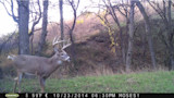 Ask Wired To Hunt: Are Wireless Trail Cameras Fair Chase?